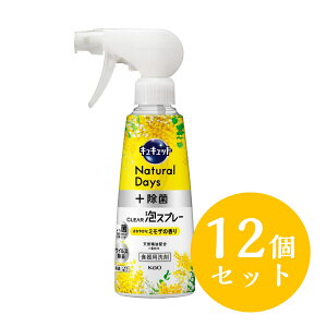 y݌ɗLE[z ܂Ƃߔ ԉ LLbg CLEARAXv[ ~U̍ { 280ml×12Zbg(1P[X)@Hp 䏊p