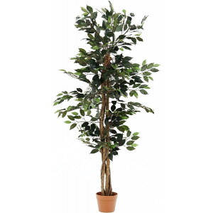 yIzsf tFCNO[ CeAO[ tBJXA lHϗtA i CeA 150cm 52661