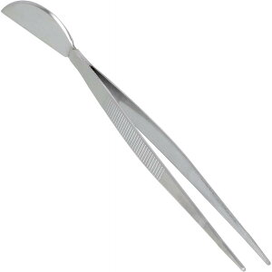 V  XeXwt sZbg  ~ A | wt TAKAGI