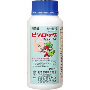 {B sVbNtAu 500ml Eۍ ׂƕa \h