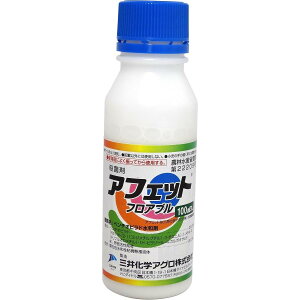 O䉻wNbv&Ct\[V AtFbgtAu 100ml Eۍ ǂ񂱕a DFѕa _  | K[fjO