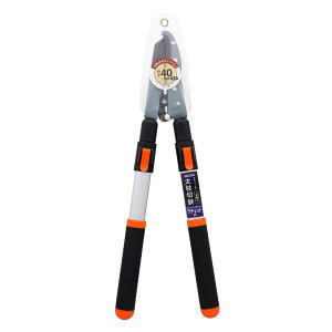 V TAKAGI `Fbg }  |  ͂ nT~ ؒfé͈Fؖ40mm