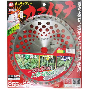 BAKUMA oN}H `bv\[ J}C^` LR-36 255×36P   `bv\[ | _ _Ǝ