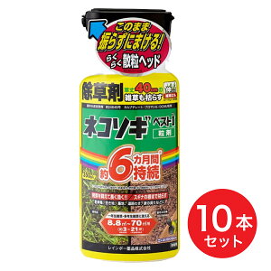 y݌ɗLE[z y܂ƂߔzlR\MxXgI 350g×10{Zbg C{[i   G XMi