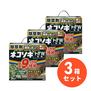 C{[i lR\MgbvW 3kg×3Zbg (75`600m2pE23`180)  G΍ TT XXL