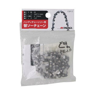 V TAKAGI V nfB\`F[\[p\[`F[ CSEP-2 `F[ nfB`F[\[ `F[\[ ƍH dH H