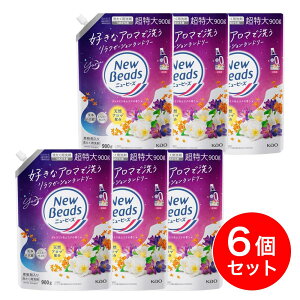 y܂Ƃߔzԉ j[r[Y WX~XN̍ ߂ 900g×6   t _ܓ 􂽂