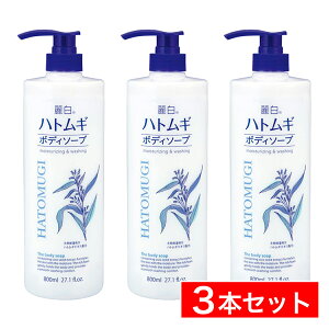 y܂Ƃߔz픒 ngM {fB\[v |v 800ml×3{Zbg F ngMGLX t