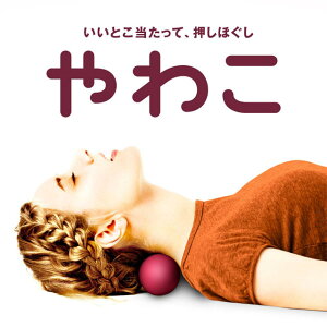 La-VIE(B) 킱 Cbh 3B-4805 g[jO N  bNX