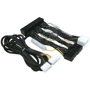 �f�[�^�V�X�e�� �G�A�T�X���A�N�e�B�u�T�X�R���g���[���[ �Ԏ�ʐ�p�n�[�l�X H-079