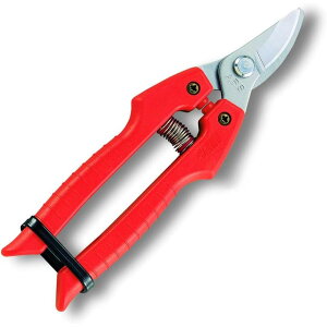 AX K[fjO ^Cv SE-30  ʎ    s