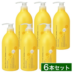 y܂ƂߔzF TN GNXg Vv[ ؍҂̍ 1000ml×6{Zbg LNZC mVR