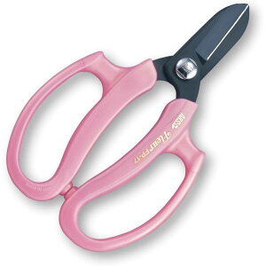 AX ƖpԂ͂݃t[ sN FP-17-P Ԃ͂  