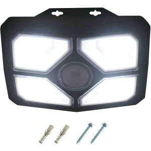 i DAISHIN DLS-WL009 邳ؑւł\[[EH[Cg 600lm LED Ɩ h