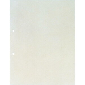 LOW KINGJIM 103 |Pbg 䎆O[ A4 ^e^ 110 2  ۊ d 