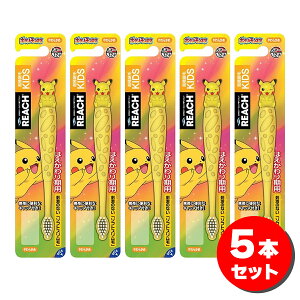 y܂Ƃߔz[`LbY sJ`EtBMAt uV 5{ 炩 ͂p qp Ԃ炵 |P |PbgX^[