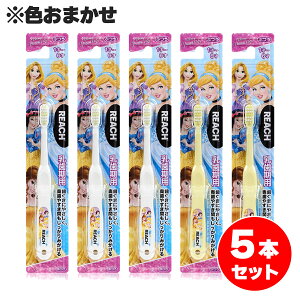 y܂Ƃߔz[`LbY fBYj[ vZX uV 5{Zbg pi1`6ˁj qp ӂ Vf vcF Ԃ炵 F͑Iׂ܂