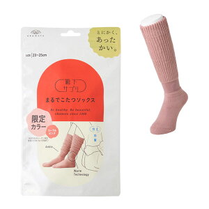 y݌ɗLz{ CTv ܂ł \bNX fB[X 23`25cm R[sN@C   ʋ ʊw ₦ ΍