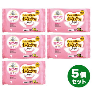 【まとめ買い】命の母カイロ 貼るタイプ じんわり温かいおなか用カイロ 10枚入×5セット 使い捨てカイロ レギュラーサイズ 冷え性 衣類に貼る