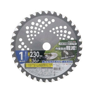 ���V EARTH MAN �y�� �����`�b�v�\�[ 1���p�b�N �O�`230mm �n��36P �`�b�v�\�[ ������