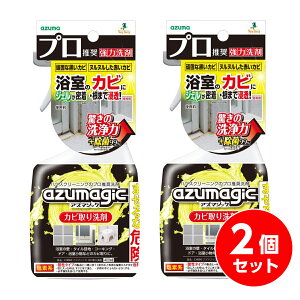 ܂Ƃߔy݌ɗLzAY}H AY}WbN Jr CH880 400ml×2Zbg {@AJ   Jr ԃJrywEsz