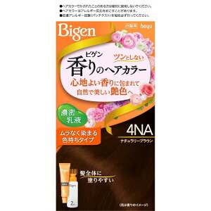 �z�[���[ �r�Q�� ����̃w�A�J���[ ���t 4NA �i�`�������[�u���E�� 40g+60mL �����p ���� �������� �S�̐��� ��򕔊O�i