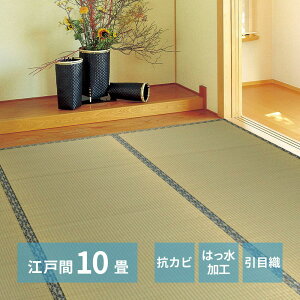 �yI�z ���� �����J�[�y�b�g ���n�i�͂��΁j �]�ˊ�10�� 142732490 352×440cm ��~�� �R�J�r ����