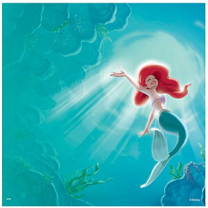 ATqy ӂ܎ fBYj[vZX g}[[h NTLP-015F 92cm×182cm 21g  ւ CN