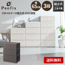 楽天市場】プロフィックススタイルケース 深型 6503の通販