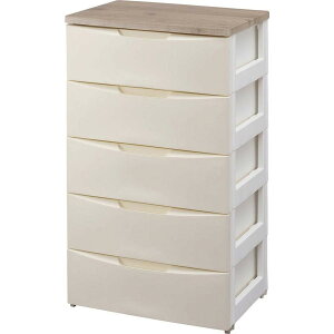 ACXI[} fUC `FXg 5i ؓV 56×s42×100 AC{[ DW-555