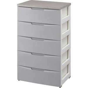 ACXI[} fUC `FXg 5i ؓV 56×s42×100 O[ DW-555