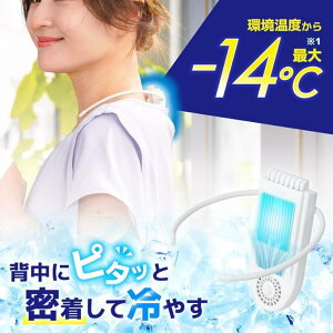 y݌ɗLE[zTR[ pv[gŔwXbL ZiN[Plus SENA24HJUyJ|O[Wz MǑ΍ y`F pv[g AEghA