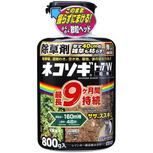 C{[i lR\MgbvW 800g(20~160m2pE6~48) @ | G΍ 