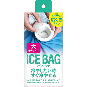 ACXobO ICE BAG 傫߃TCY L^Cv 1000cc TKY-75L MǑ΍ ΍ ⊴ ₽ XX