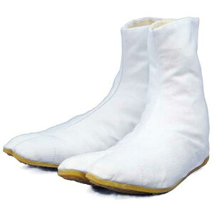 y񂹁z͉ WF7E25.0cmEV ܁EzCgE7 25.0cm zCg