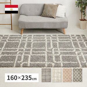 yIz  GWvg 􉽊w̃EBgDVM[O PW 240640101 O[ 160×235cm  Vv