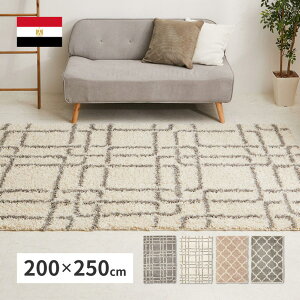 yIz  GWvg 􉽊w̃EBgDVM[O PW 240640112 AC{[ 200×250cm  Vv