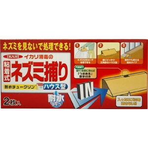 CJ ϐ `[N nEX^ 2 S lY~߂ ˂ Qb ΍