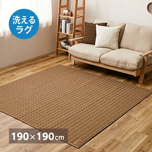 �yI�z ���� �􂦂�X�E�F�b�g�L���g���O �R�R�� 240638001 �u���E�� 190×190cm �I�[���V�[�Y�� ����@OK ��z�����A���f�q�h