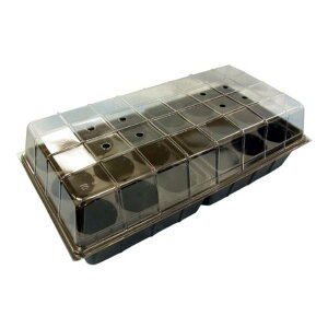 DAIM ܂nEXiJo[gCẗc|bgj rj[