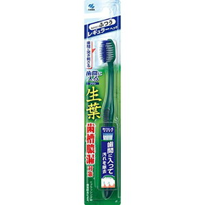 t(傤悤)ԂɓuV uV M[ ӂ