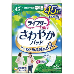 Ct[ fB ₩pbh K̒ʗp 45cc 45 yA p