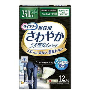 Ct[ ₩pbh jp 250cc Cɏo鎞Sp 26cm 12