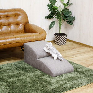 yIz㓡ƋY hbNXebv2i DS-STEP-2-BR@ybgƋ ݑyszysz