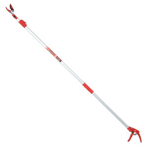 E-Value Lk} t EGLP-1  } n Œ3m ŒZ1.8m