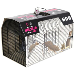 hqY lY~ƂAtype NO.103 NZ-3@hulY~EN}lY~ ߊl@Qb