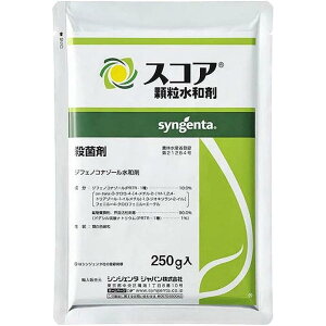 VWF^Wp XRAa 250g Eۍ ωJ \h _ _Ǝ | K[fjO