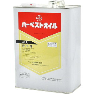 oCGNbvTCGX n[xXgIC 4L E IC _  | K[fjO