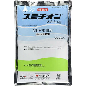 ZFw X~`Ia 500g E RGXe[[ E Ƃ  Q _  | K[fjO