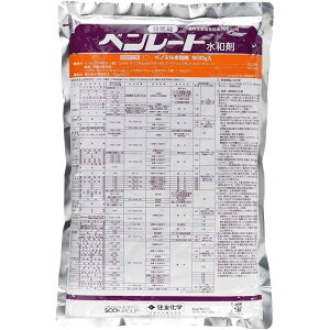 y݌ɗLE[zyzZFw x[g a 500g Eۍ | _ a ǂ񂱕a Ԃѕa \h 